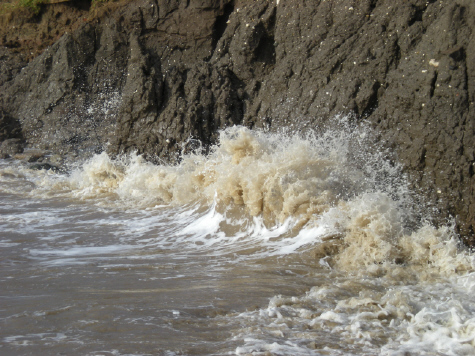  Hornsea south: 17 September 2011 